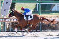 アンプイットアップ