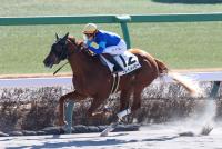 プレイメイカー