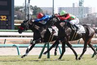 ストレイトトーカー