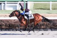 ハードセルツァー