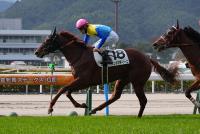 ボンドマティーニ