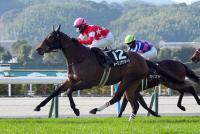 ルージュサウダージ