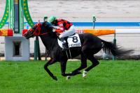 トモジャシック