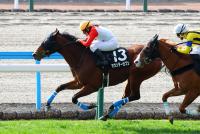 カウンターセブン