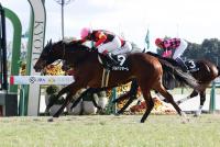 ソルパッサーレ