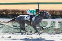 タイキブリッツェン