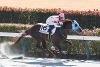 ダブルメッセージ