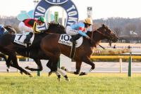 アールヴィヴァン