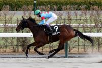 プロミストジーン