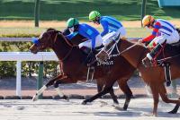 スノーサイレンス