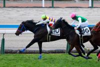 セイウンデセオ