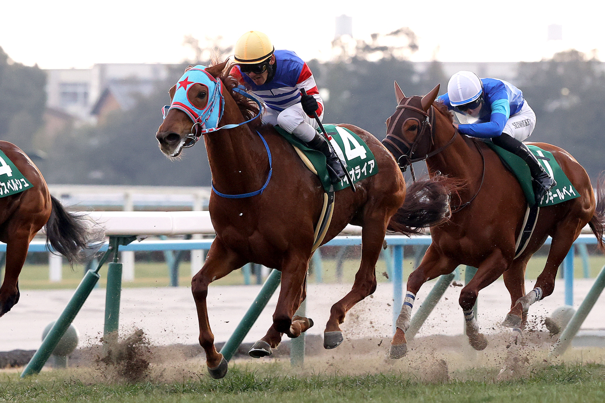 外から追い込むレイピアを半馬身差抑えて、16番人気のフィオライアが逃げ切った