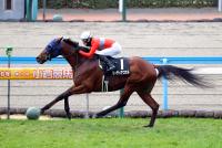 リーティアコナル