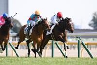 マウンテンバローズ