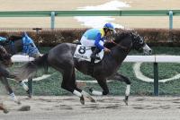 ドラゴンテイラー