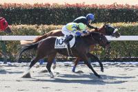 ベアハンドキャッチ