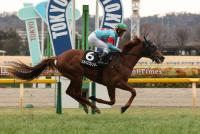 スカイスプレンダー