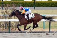 サイモンゼスト