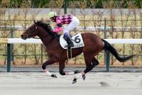 スマートジュリアス