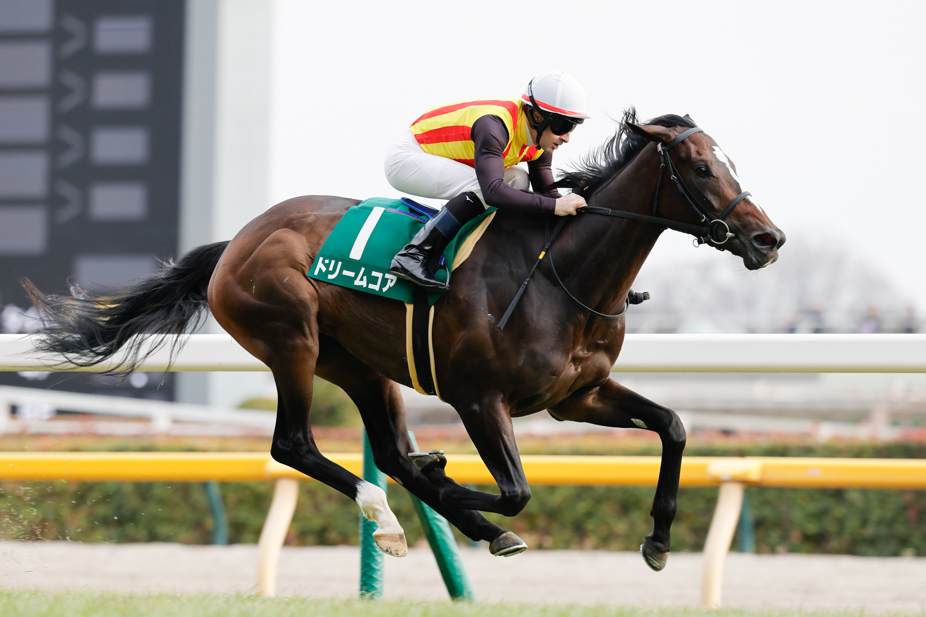 母はヴィクトリアマイル勝ち馬ノームコア、母の妹はＧⅠ・４勝馬クロノジェネシス。GⅠ戦線での活躍が楽しみだ