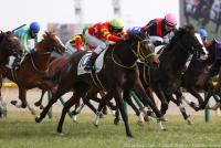 トラスコンガーデン