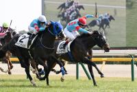 サンデースマッシュ