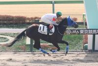 ノースブルースカイ