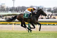 <strong>ドリームコア</strong>