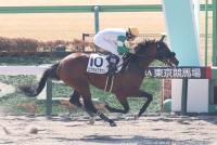 エクセルクラウン