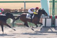 ロンギングフォユー