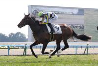 ブラックシャリマー