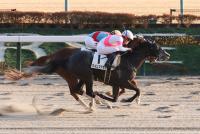 クインズデネブ