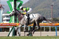 マーゴットミスト