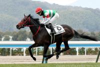 ノンブルドール