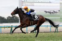 ネブラディスク