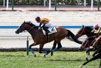 リアルファインド