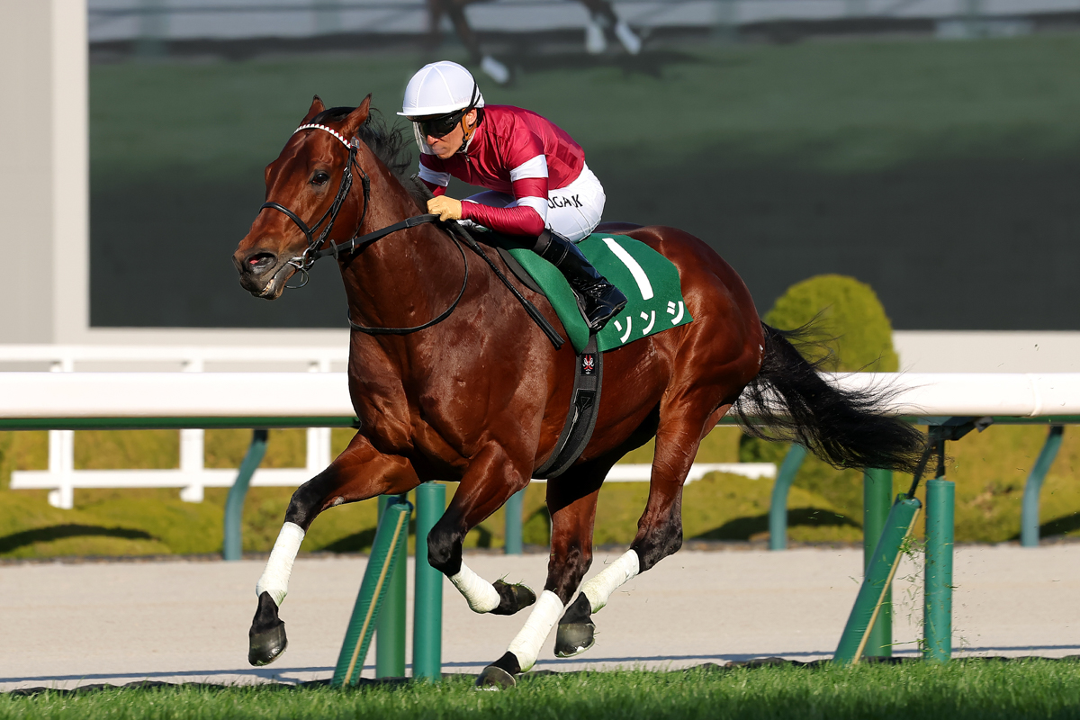 ハイペースの３番手を楽に追走し、直線危なげなく抜け出したソンシ。２着ララマセラシオンに３馬身半差を付けた