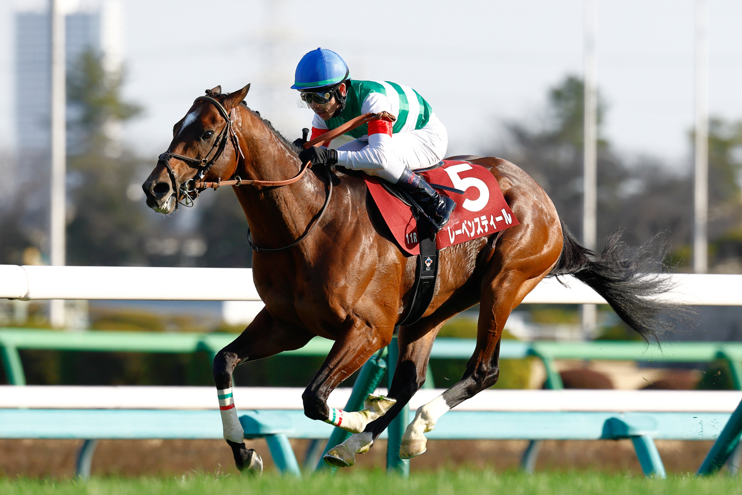 ４番手から馬群を割って鋭く抜け出し、重賞５勝目を手中に収めたレーベンスティール
