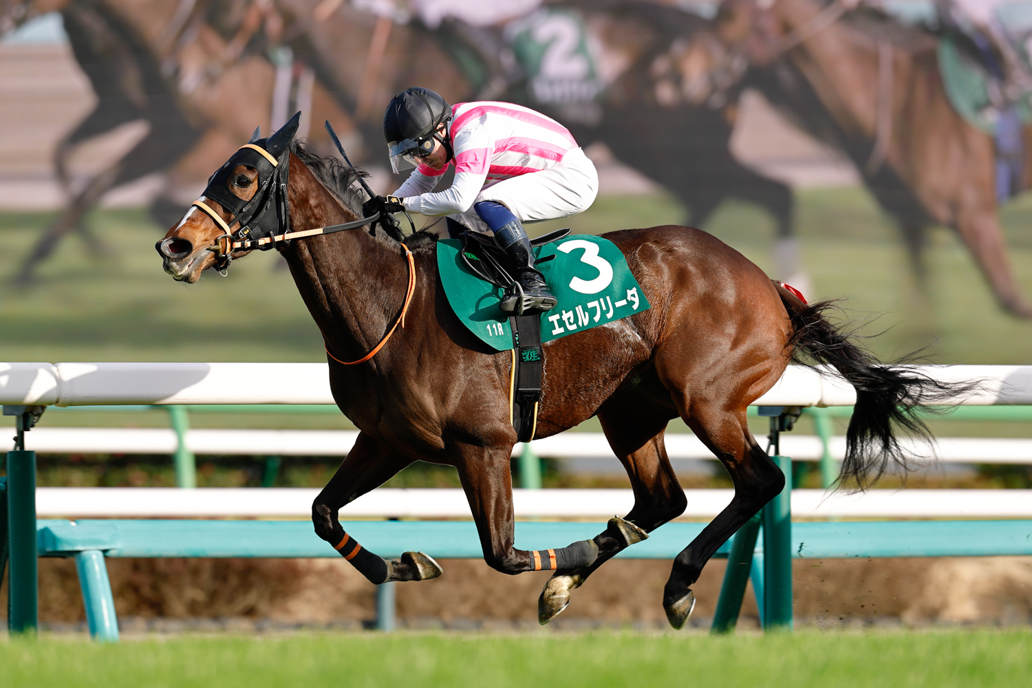 馬主の高橋文男氏は2023年紫苑Ｓ(モリアーナ)以来のＪＲＡ重賞勝利で通算３勝目