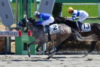 スターサンサルー