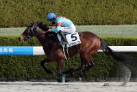 シャンデヴィーニュ