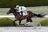 フランキーバローズ