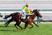 カウンティフェア