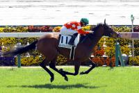 ルージュリリック