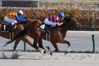 スマートジュリアス