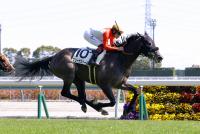 エリーナストーム