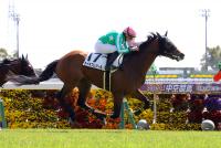 タイキプレジール