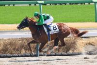 ビービーアジャイル