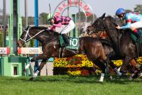 <strong>スマートプリエール</strong>