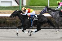 カネショウレジェン